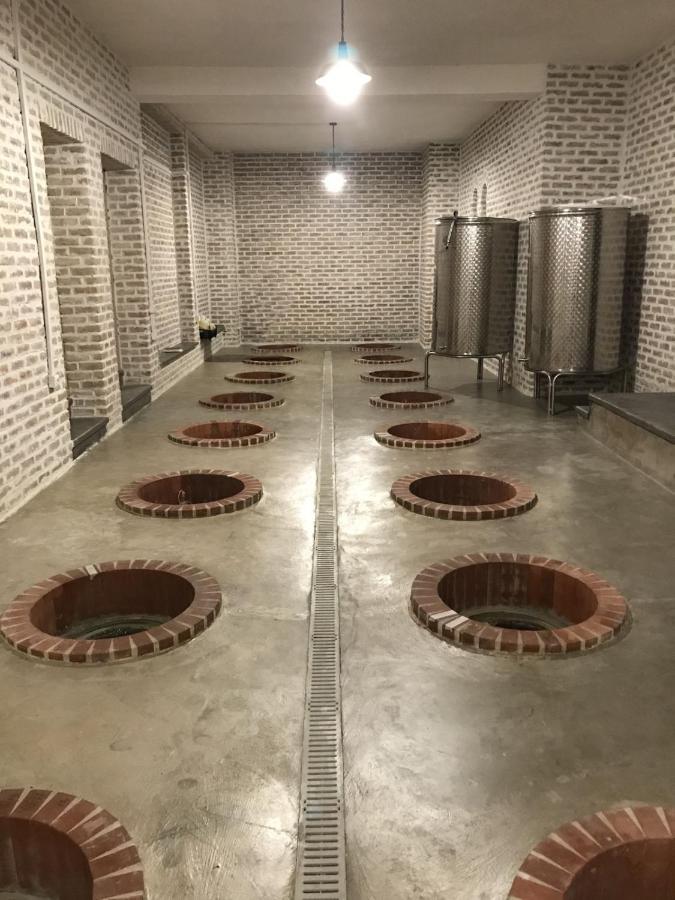 Begaso Family Winery Hotel Kvareli Kültér fotó
