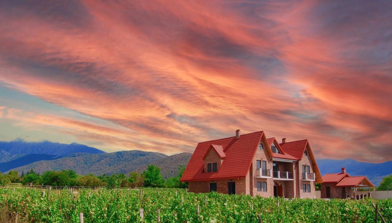 Begaso Family Winery Hotel Kvareli Kültér fotó