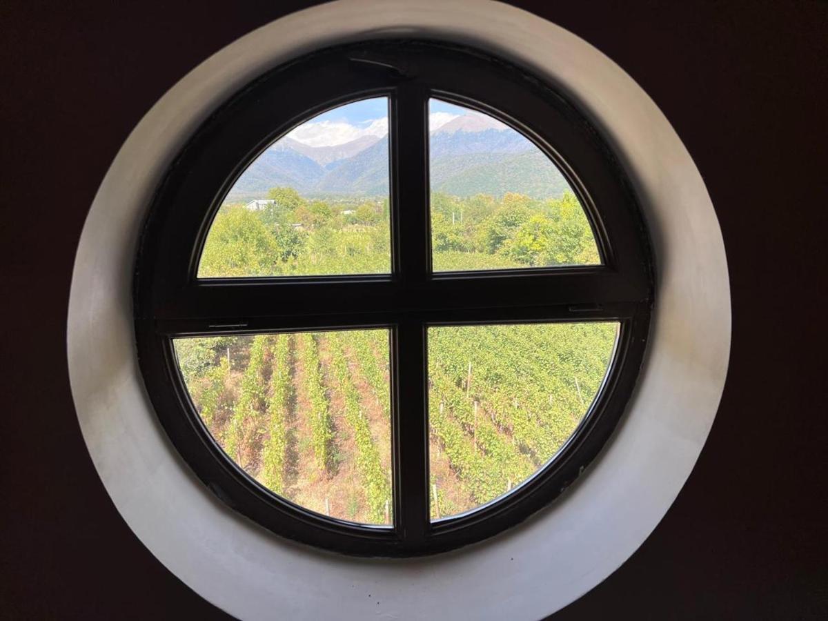 Begaso Family Winery Hotel Kvareli Kültér fotó